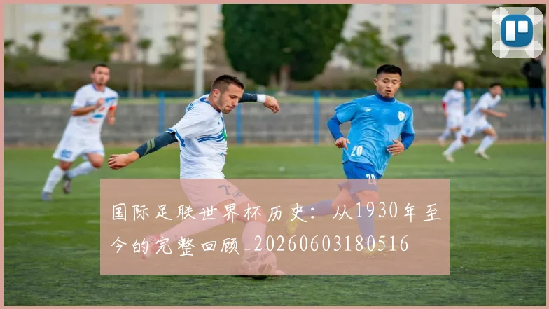 国际足联世界杯历史:从1930年至今的完整回顾_20260603180516